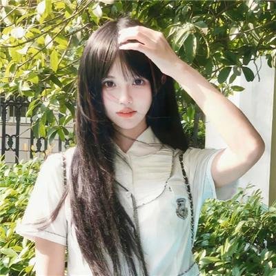 菊花香